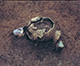 FileNo.000-028.jpg