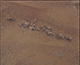 FileNo.000-029.jpg