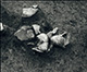 FileNo.000-031.jpg