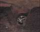 FileNo.000-032.jpg