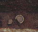 FileNo.000-035.jpg