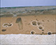 FileNo.000-037.jpg