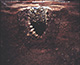 FileNo.000-046.jpg