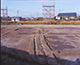 FileNo.000-050.jpg