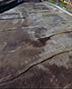 FileNo.000-051.jpg