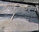 FileNo.000-052.jpg