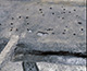 FileNo.000-053.jpg