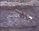 FileNo.000-060.jpg
