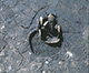 FileNo.000-062.jpg