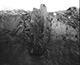 FileNo.000-064.jpg