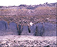 FileNo.000-067.jpg