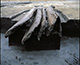 FileNo.000-073.jpg