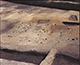 FileNo.000-074.jpg
