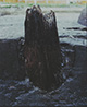 FileNo.000-075.jpg