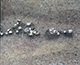 FileNo.S000-007.jpg