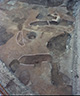 FileNo.S000-009.jpg
