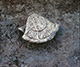 FileNo.S000-012.jpg