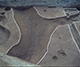 FileNo.S000-014.jpg