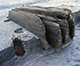 FileNo.S000-019.jpg