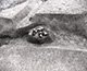 FileNo.S000-028.jpg