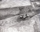 FileNo.S000-029.jpg