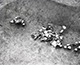 FileNo.S000-030.jpg
