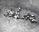 FileNo.S000-031.jpg
