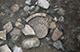 FileNo.S000-048.jpg