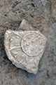 FileNo.S000-058.jpg