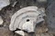FileNo.S000-059.jpg