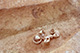 FileNo.S000-082.jpg