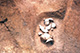 FileNo.S000-098.jpg