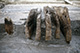 FileNo.S000-112.jpg