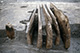 FileNo.S000-113.jpg