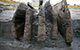 FileNo.S000-114.jpg
