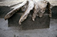 FileNo.S000-115.jpg