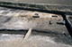 FileNo.S000-121.jpg