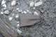 FileNo.S000-129.jpg