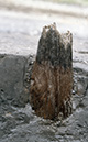 FileNo.S000-130.jpg