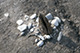 FileNo.S000-133.jpg