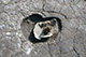 FileNo.S000-135.jpg