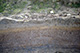 FileNo.S000-137.jpg