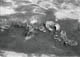 FileNo.002-003.jpg