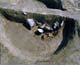 FileNo.002-008.jpg