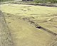FileNo.S002-003.jpg