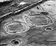 FileNo.S002-007.jpg