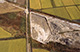 FileNo.S002-044.jpg
