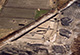 FileNo.S002-048.jpg