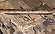 FileNo.S002-049.jpg