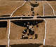 FileNo.003-009.jpg